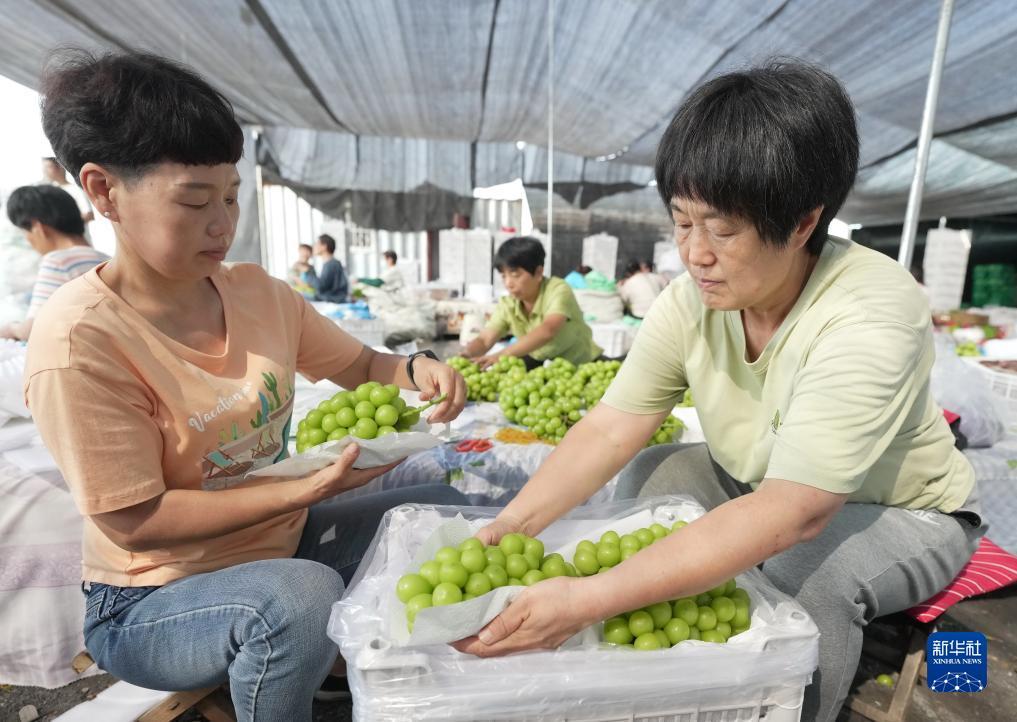 串子倍数怎么算